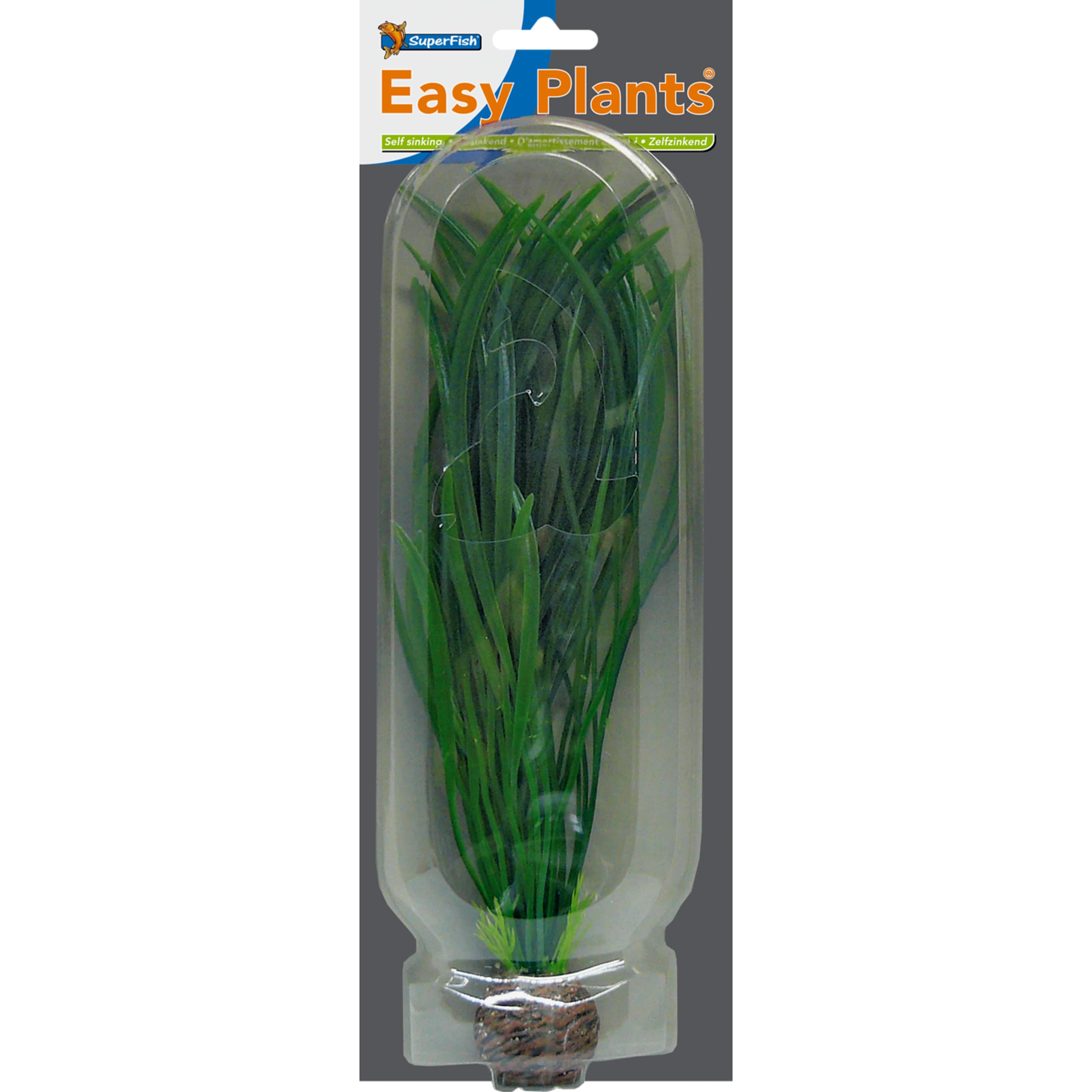Einfache Pflanze hoch 30 cm nr. 4 Plant, Food, Produce