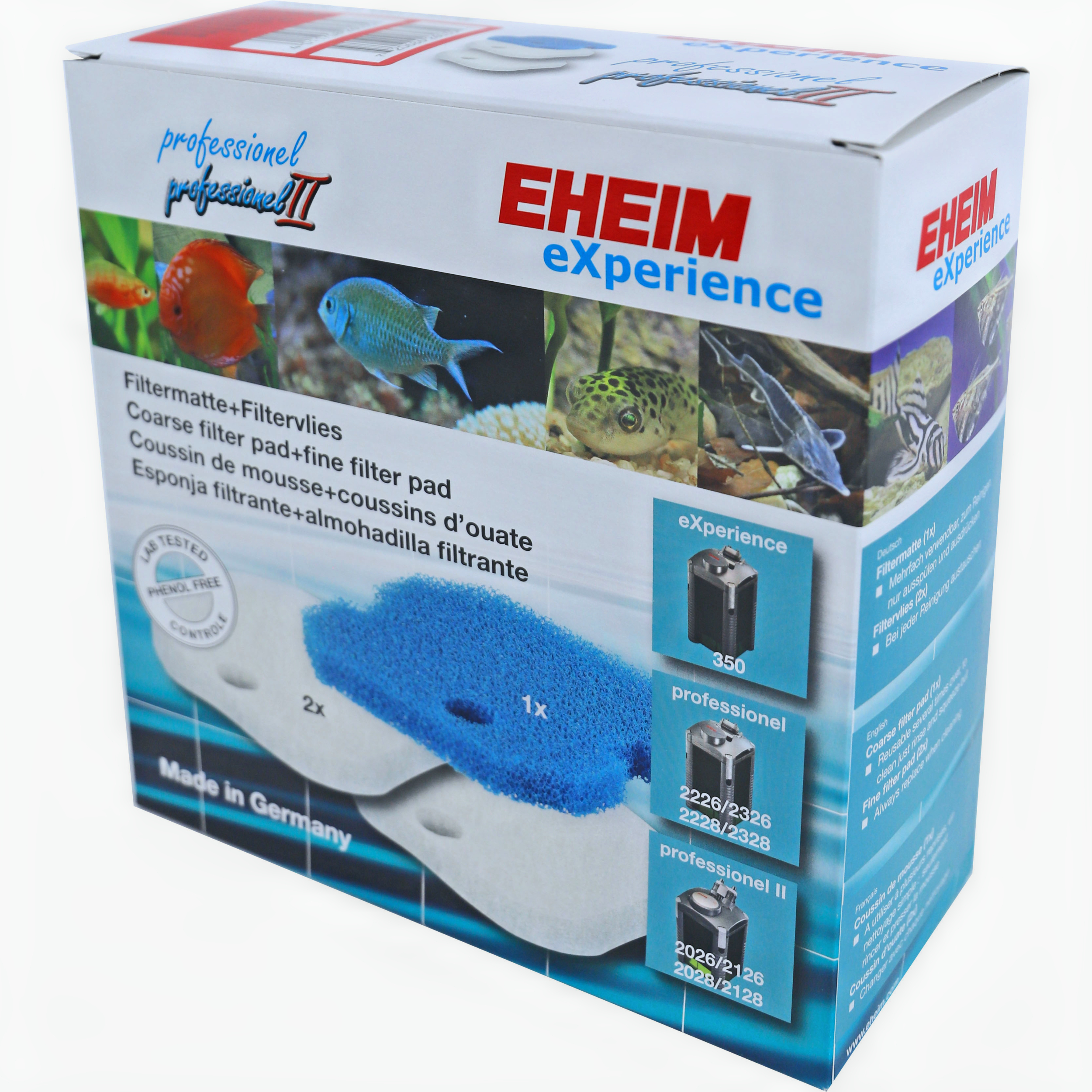 Animal, Fish, Sea Life, Aquarium, Water