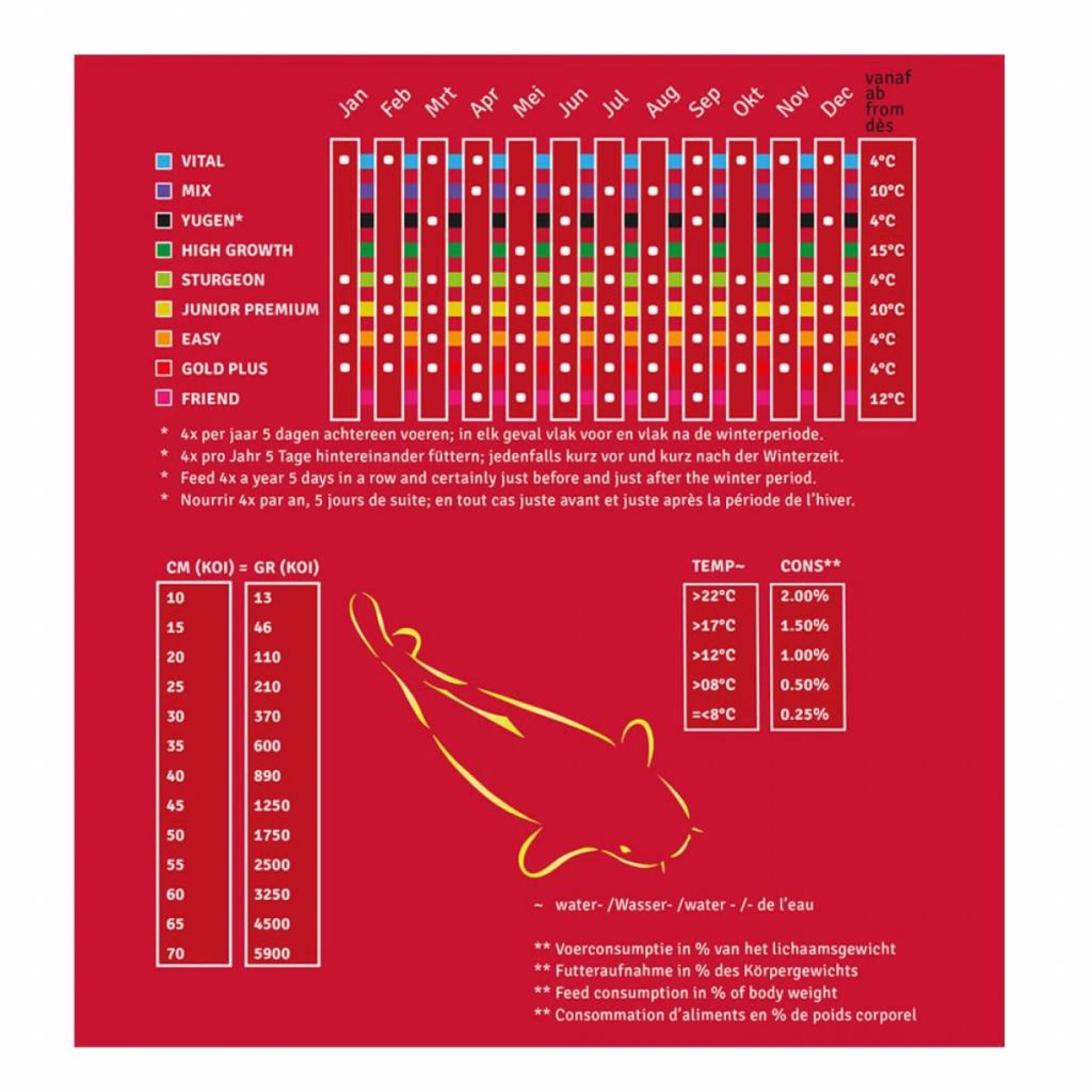 Stör Lebensmittel 1,5 kg