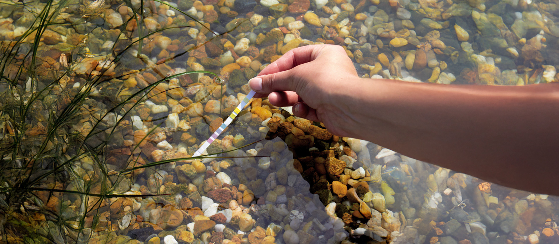 Wasseraufbereitung & Qualität