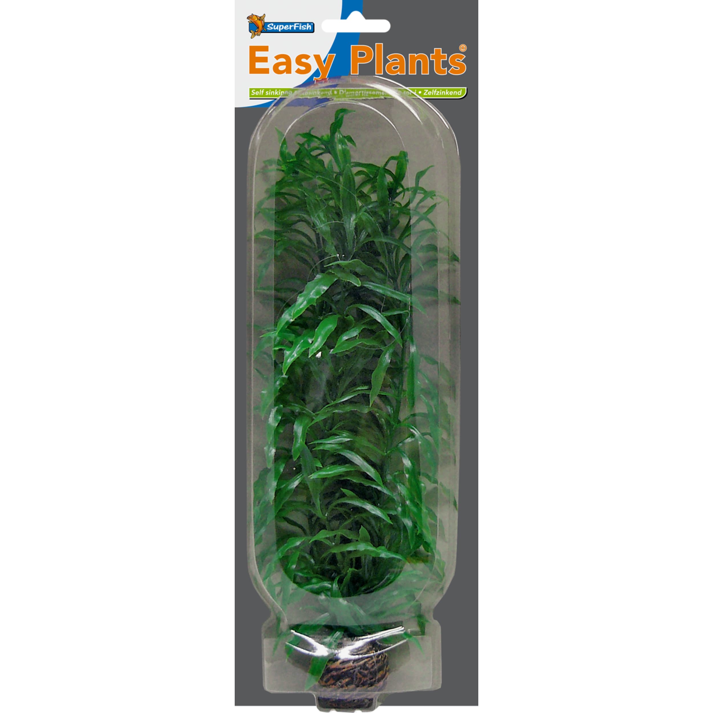 Plant, Herbal, Potted Plant, Hemp, Aquatic