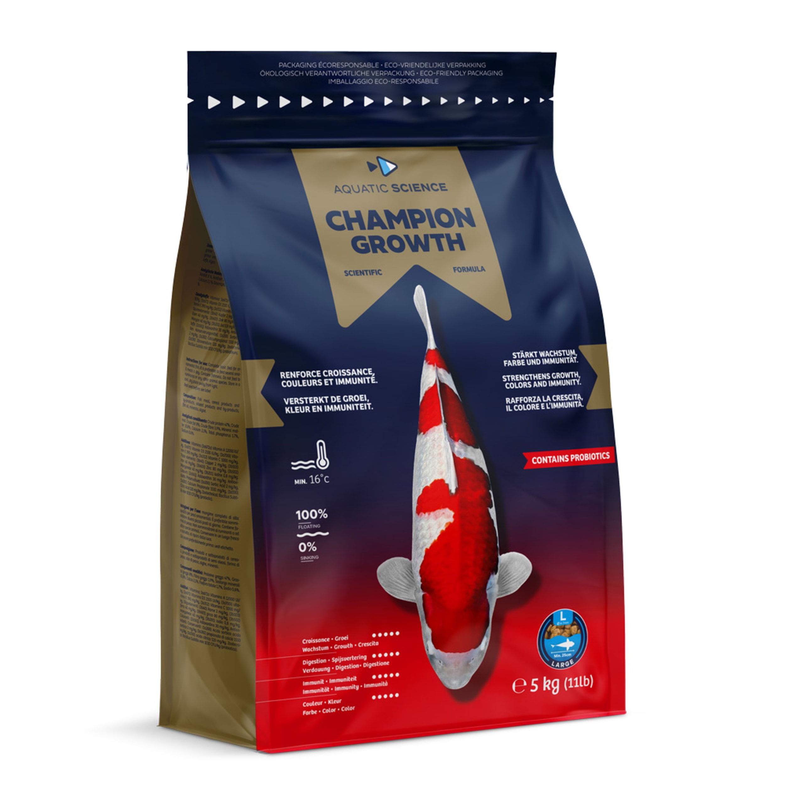 Animal, Carp, Fish, Sea Life, Koi