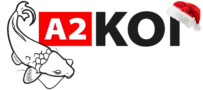 Zur Startseite gehen