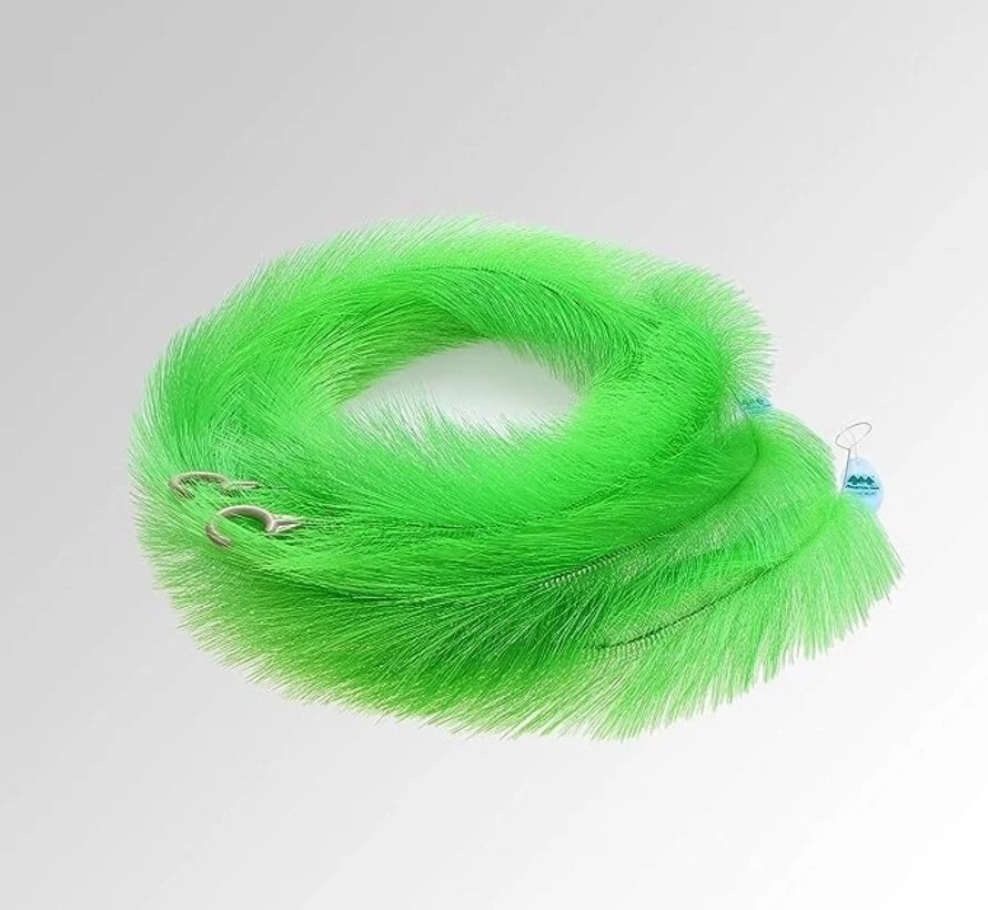 Animal, Bird, Accessories