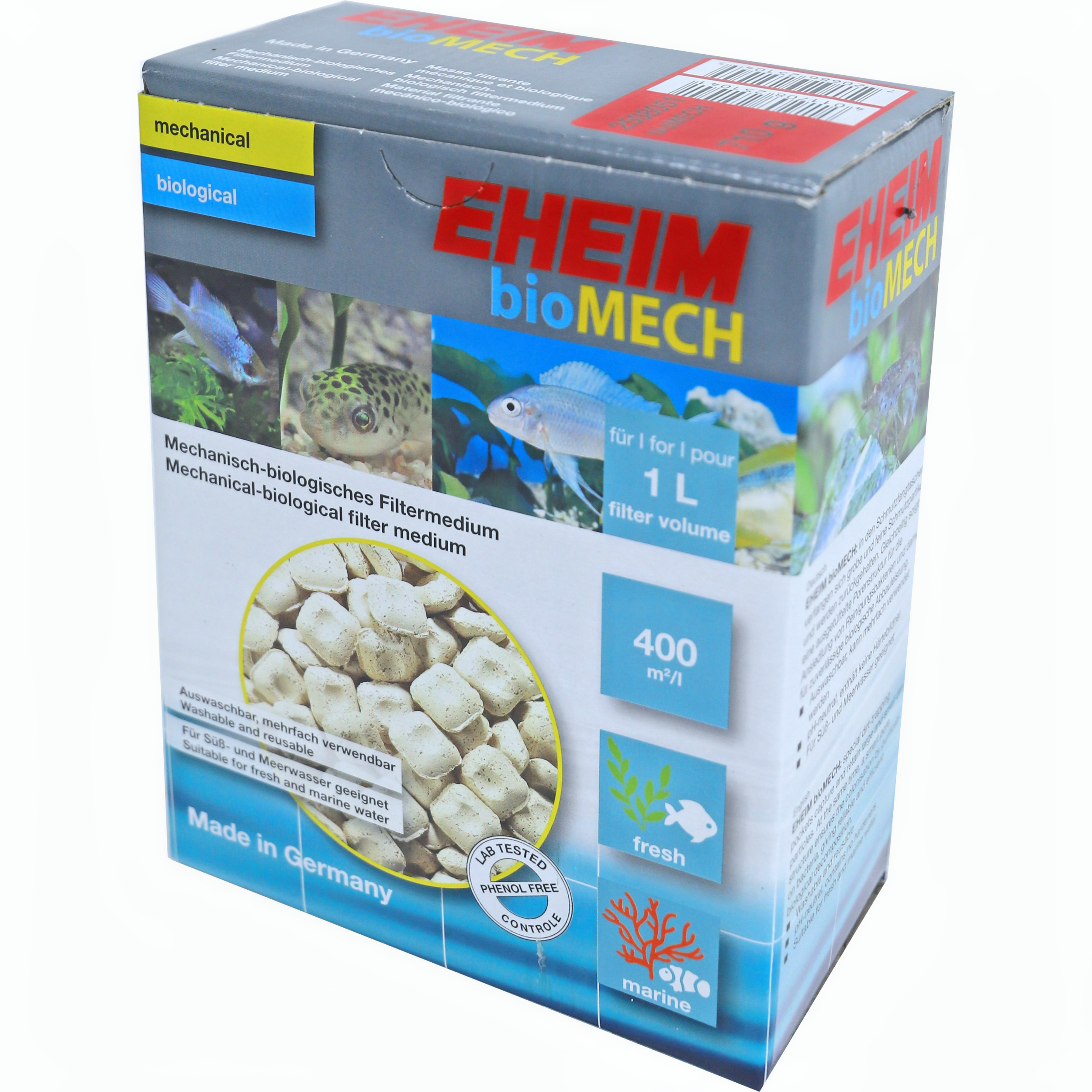 Herbal, Herbs, Plant, Sea Life, Turtle