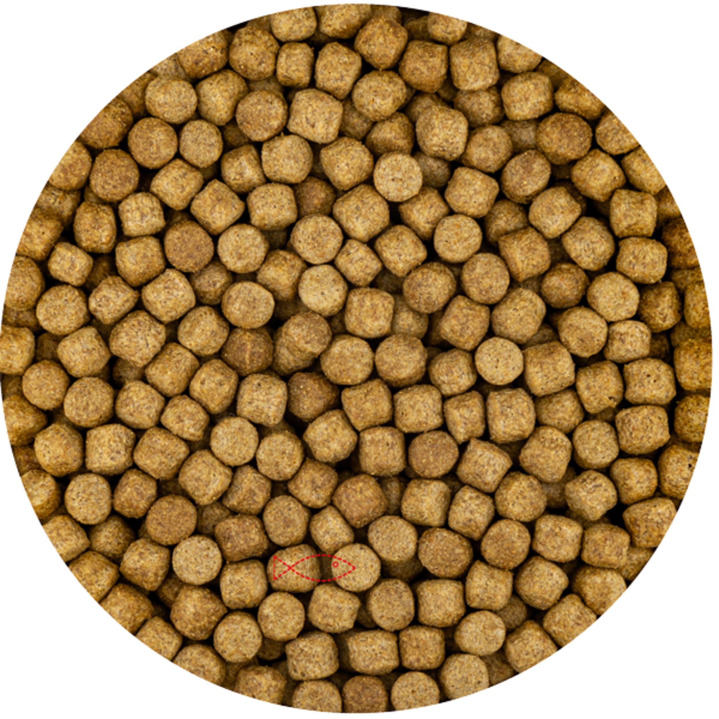 Weizenkeime 6 mm (15 Kilo Beutel)