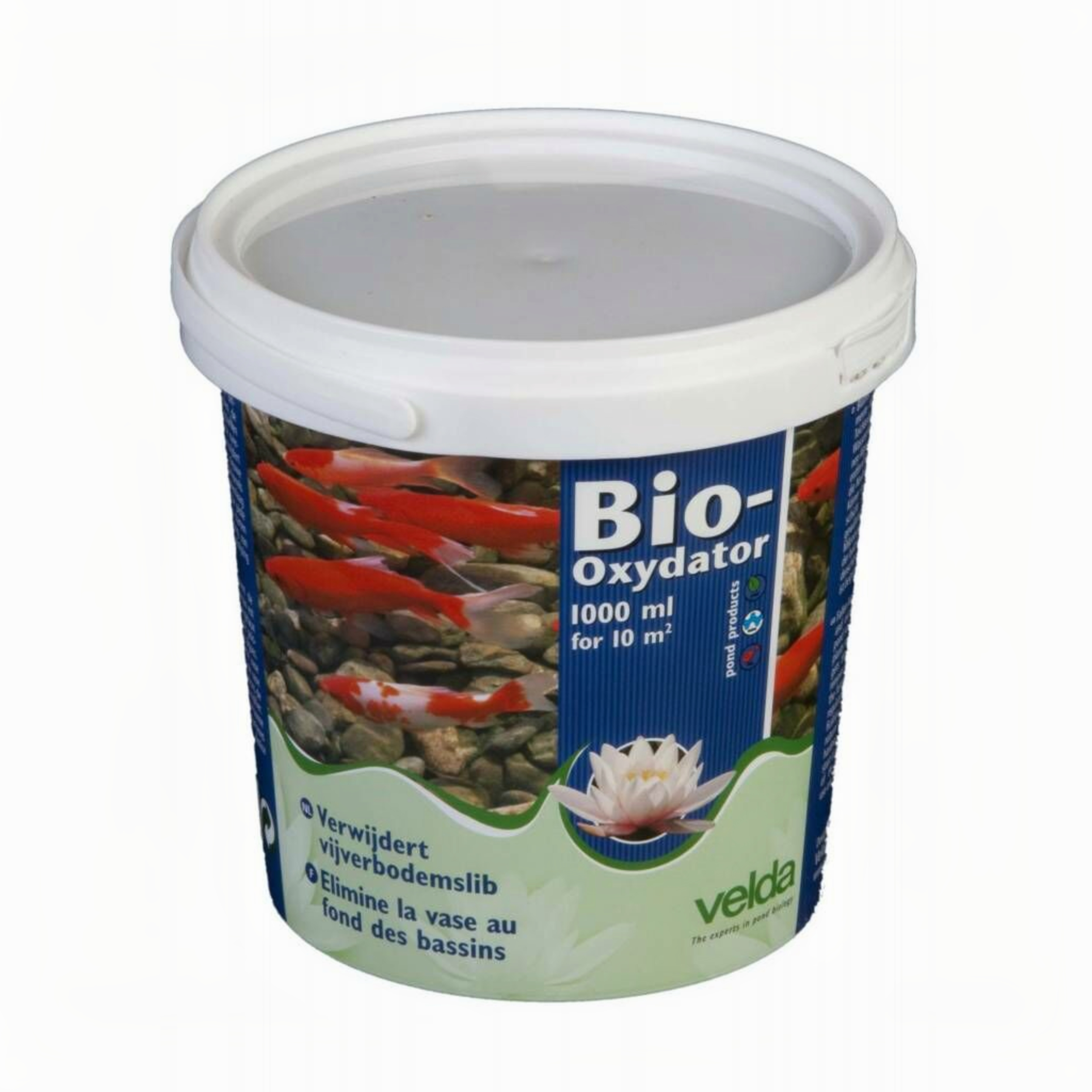 Bio -Oxydator - 1.000 ml Dessert, Food, Yogurt