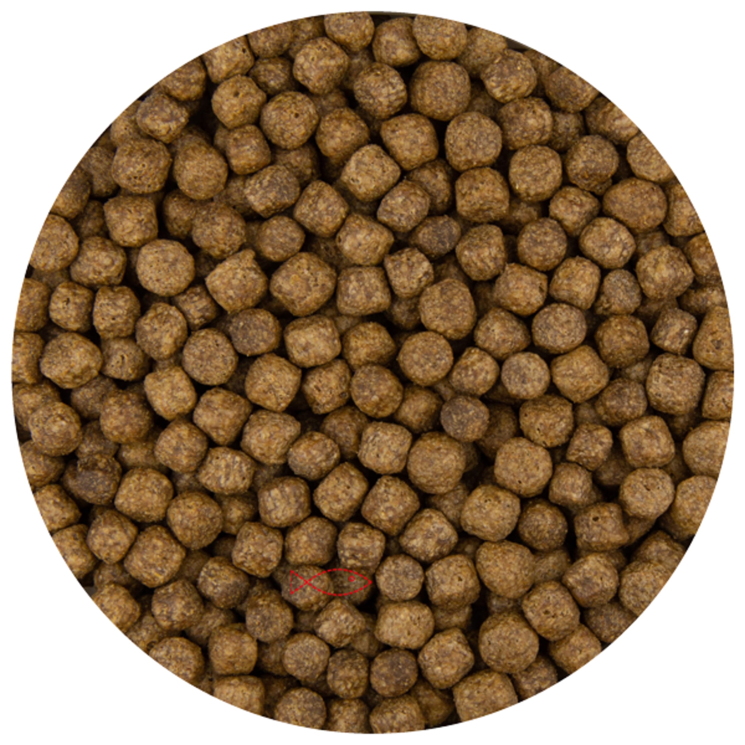 Pfund Pellet 6 mm - 5 Kilo Food