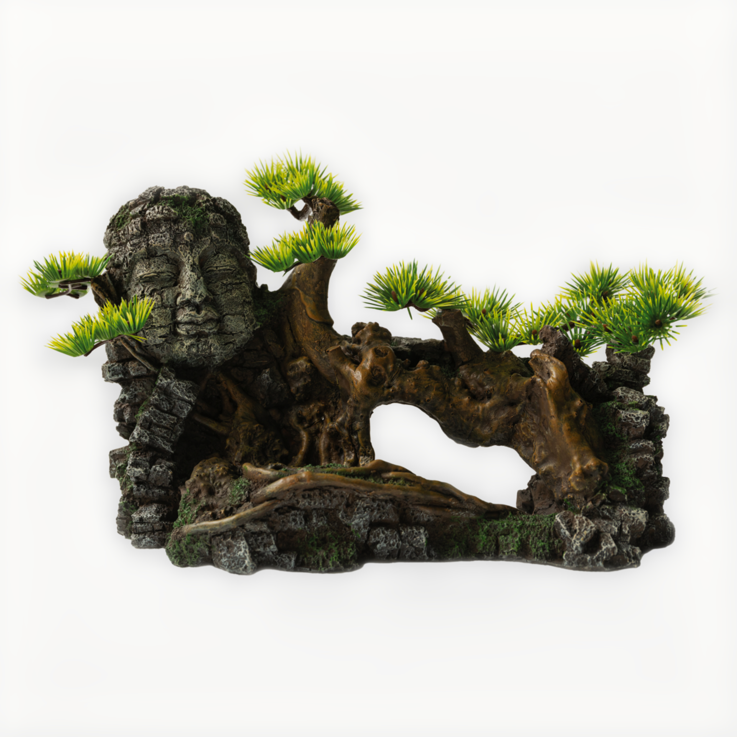 Potted Plant, Tree, Conifer, Wood, Fir