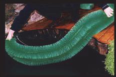 Eierverkaufstin Eierverkaufstin